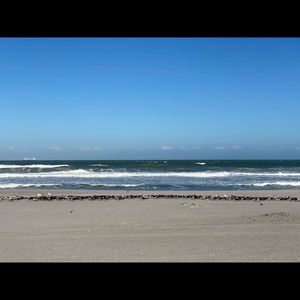 Meet your Posher, Alissa